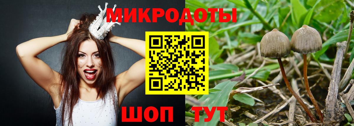 Галлюциногенные грибы Psilocybe Баксан